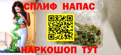стаф Бузулук