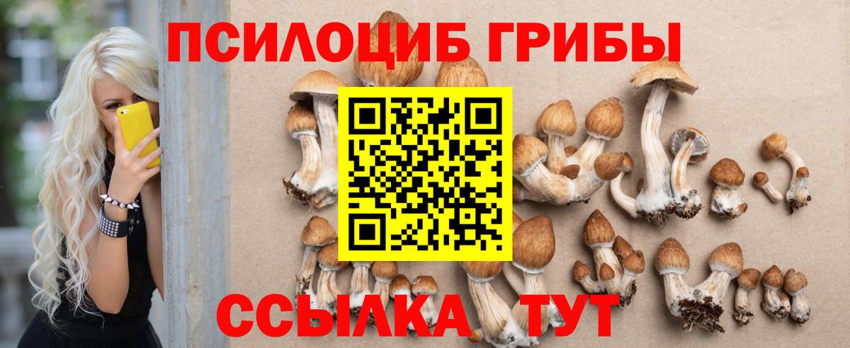 Галлюциногенные грибы Cubensis  Вход с VPN  Чита 